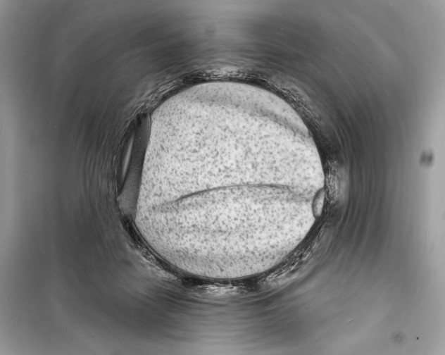 X0000098170458200805221519