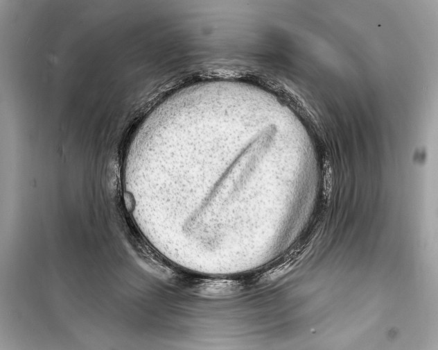 X0000098170459200805221519