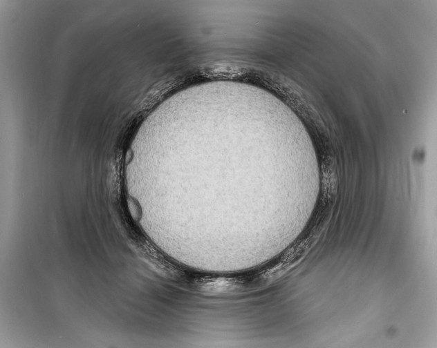 X0000098170460200805221519