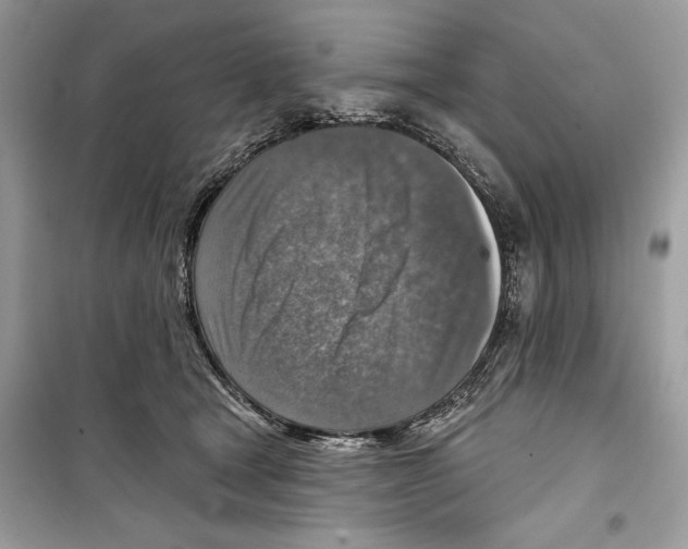 X0000098170465200805221519