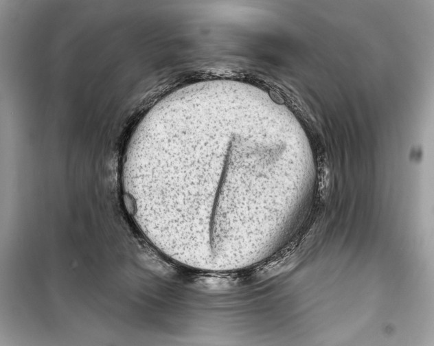 X0000098170466200805221519