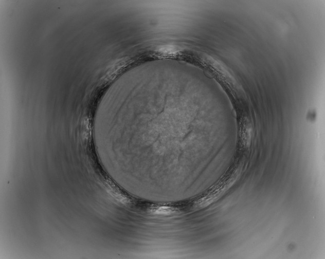 X0000098170467200805221519