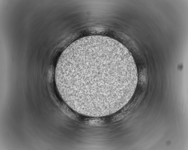 X0000098170468200805221519