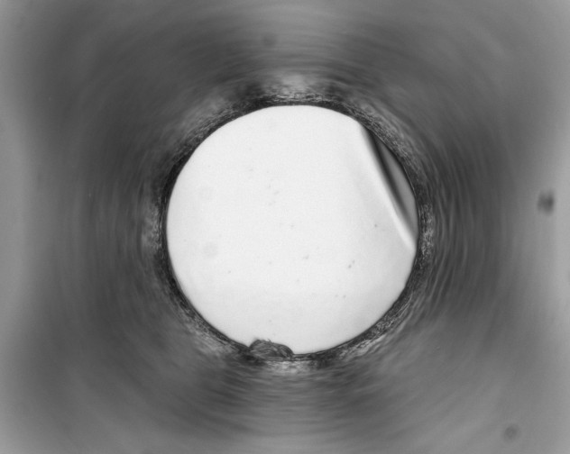 X0000098170469200805221519