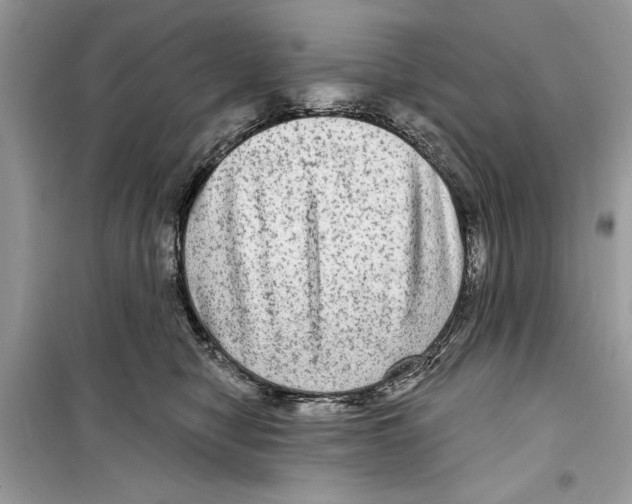 X0000098170470200805221519