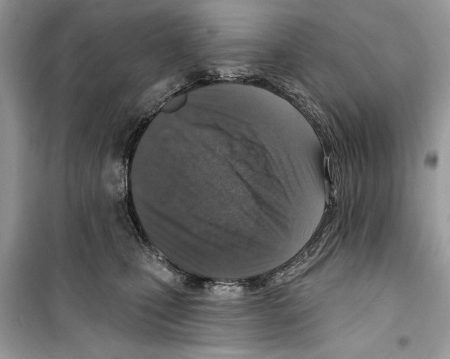 X0000098170471200805221519