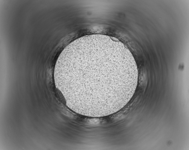 X0000098170473200805221519