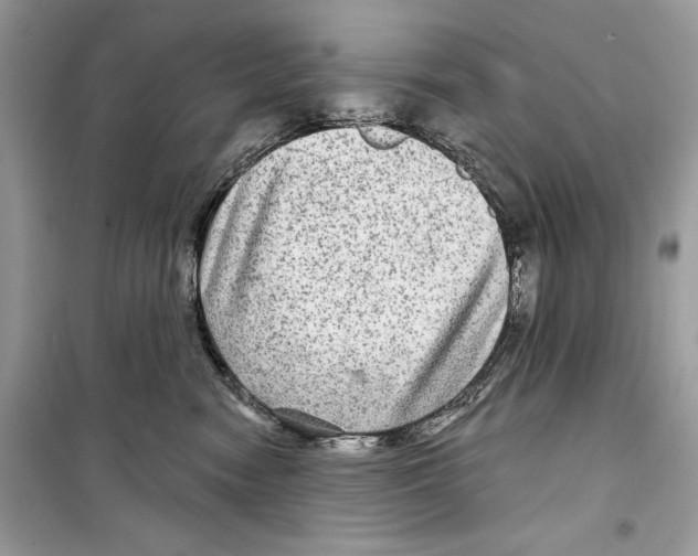 X0000098170474200805221519