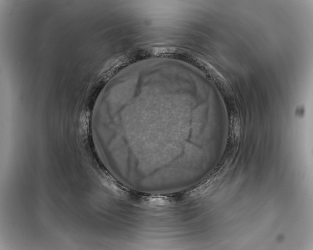 X0000098170475200805221519