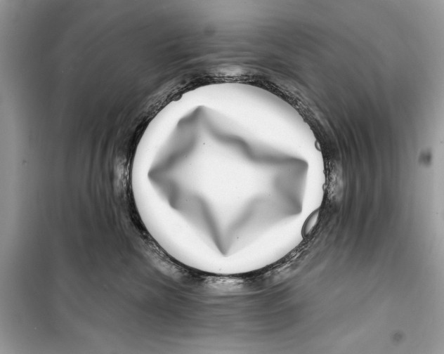 X0000098170476200805221519