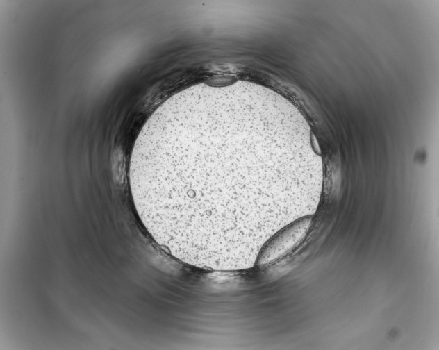 X0000098170477200805221519