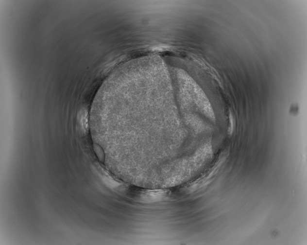 X0000098170479200805221519