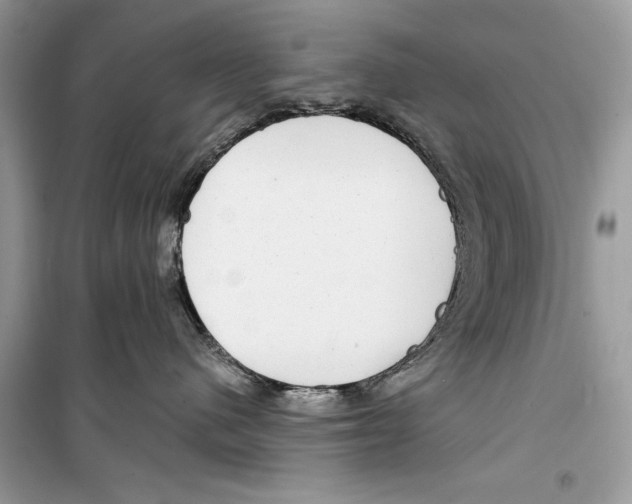 X0000098170480200805221519