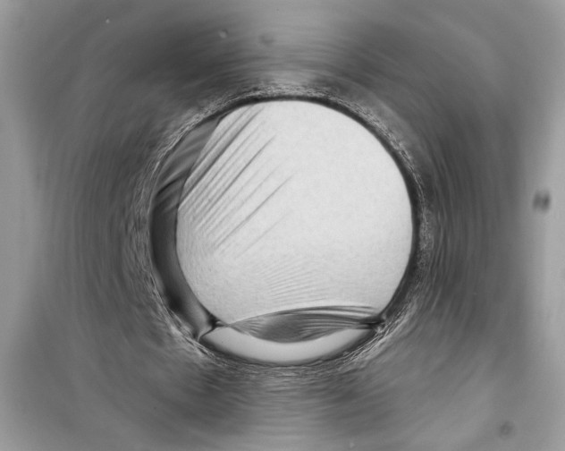 X0000098170481200805221518