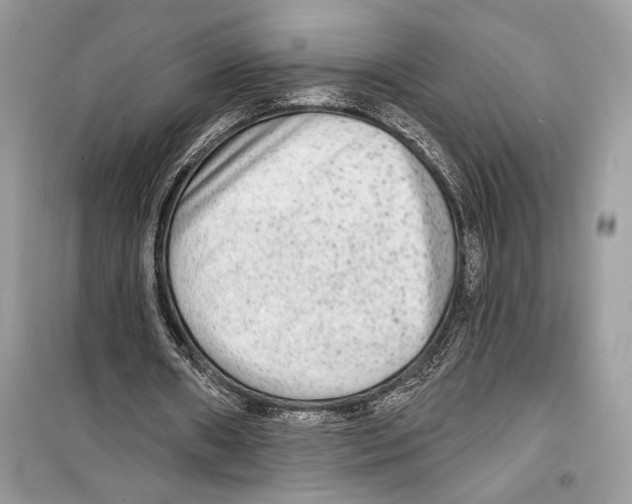 X0000098170482200805221518