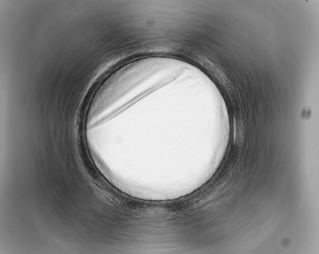 X0000098170483200805221518