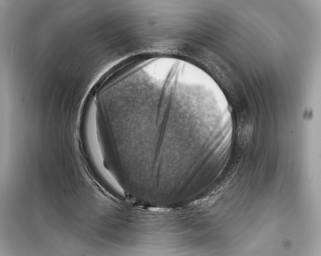 X0000098170484200805221518