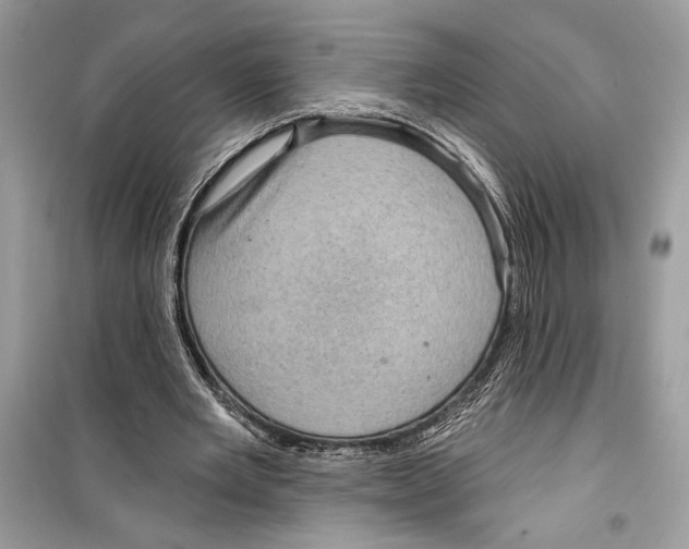 X0000098170485200805221518