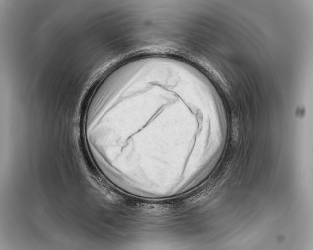 X0000098170486200805221518