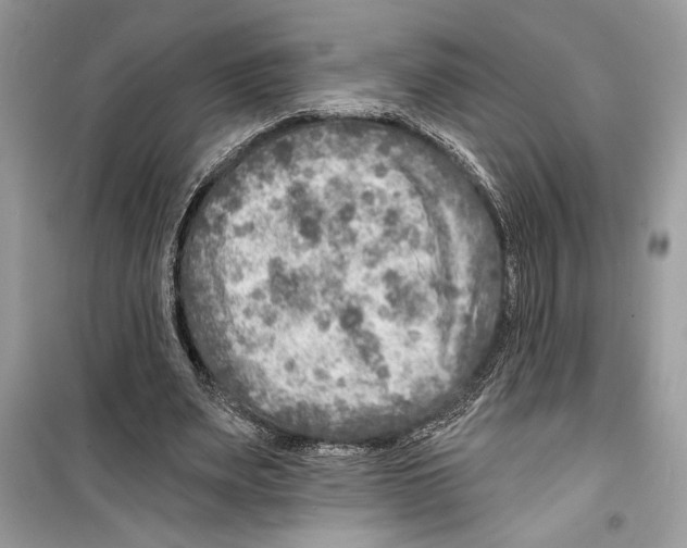 X0000098170487200805221518