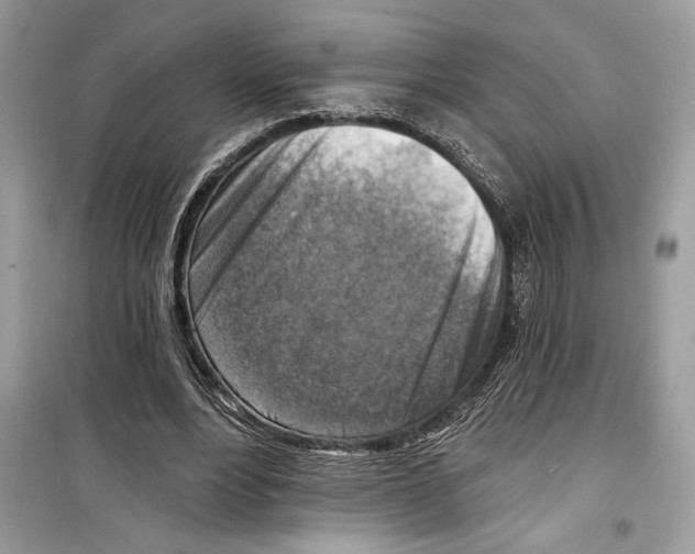 X0000098170488200805221518