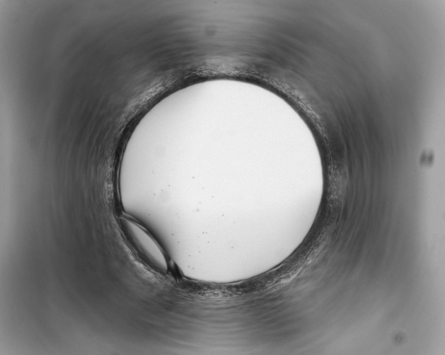 X0000098170489200805221518