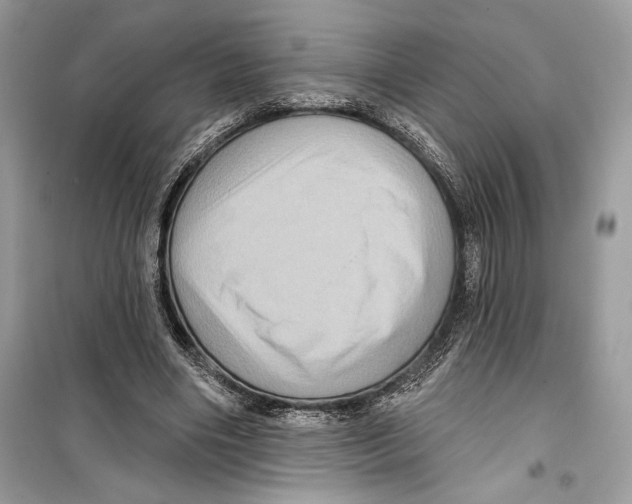 X0000098170490200805221518