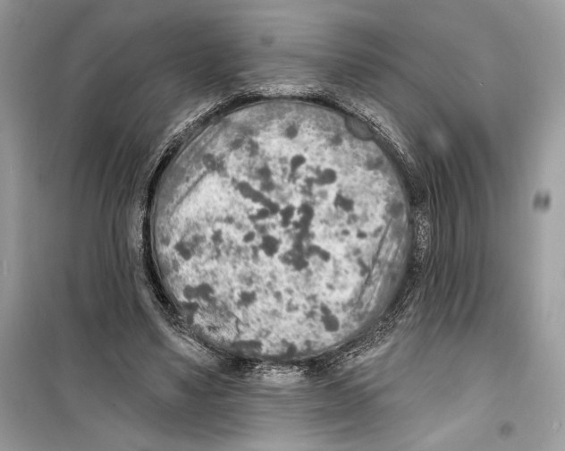 X0000098170491200805221518