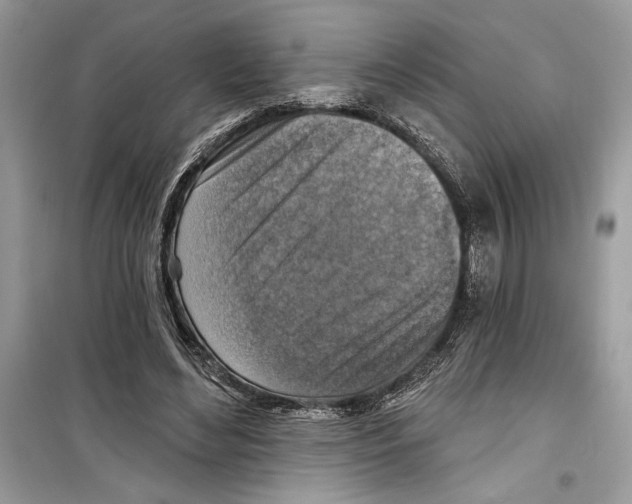 X0000098170492200805221518