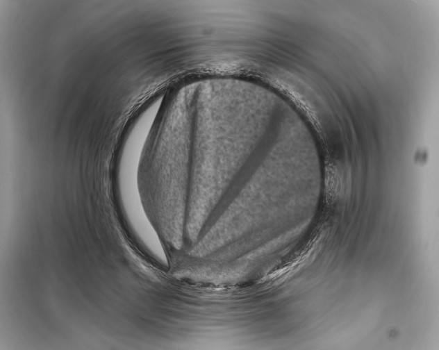 X0000098170493200805221518