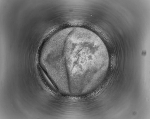 X0000098170494200805221518