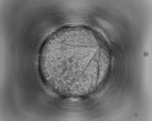 X0000098170495200805221518