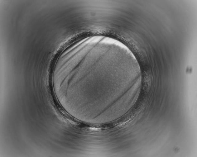 X0000098170496200805221518