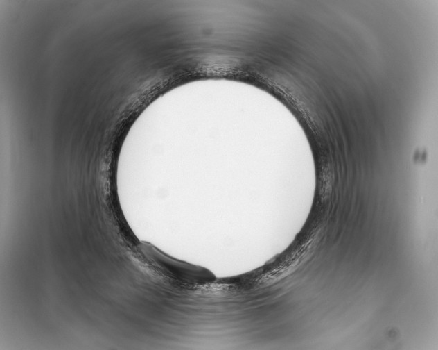 X0000098170497200805221518