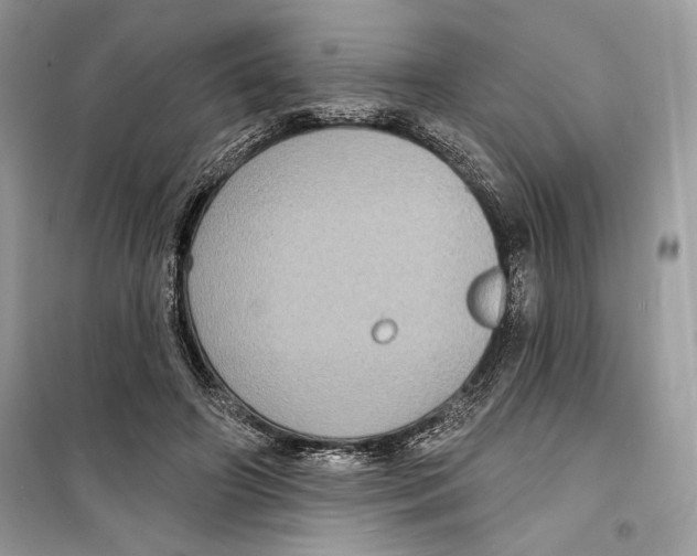 X0000098170498200805221518