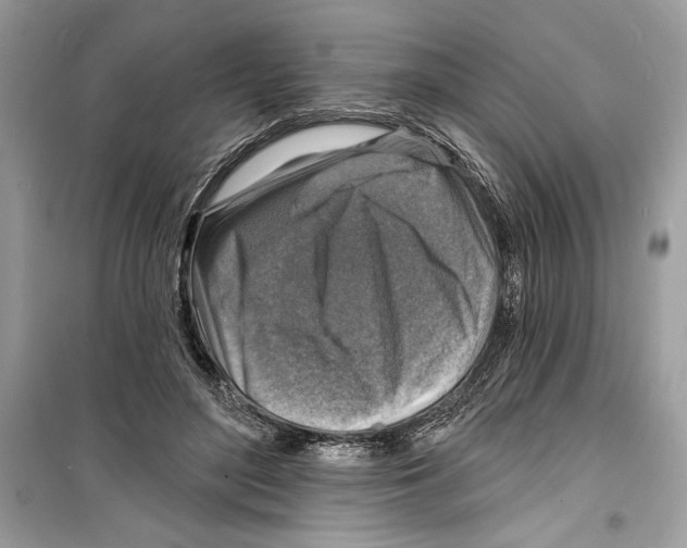 X0000098170500200805221518