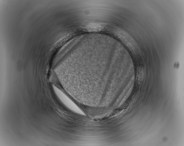 X0000098170501200805221518