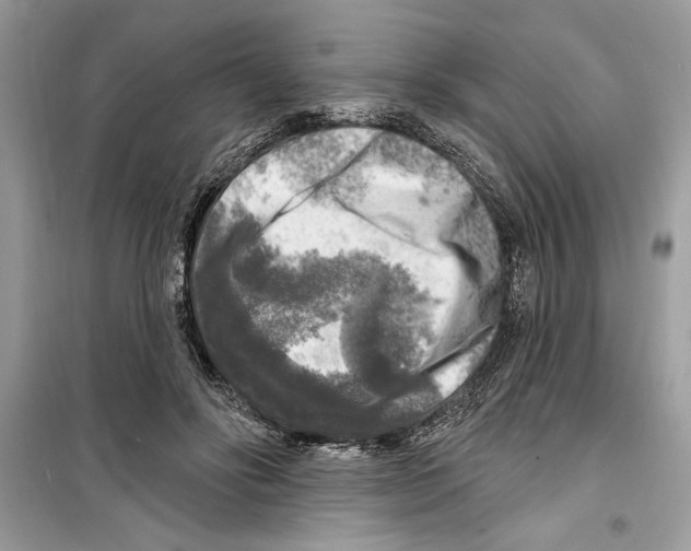 X0000098170502200805221518