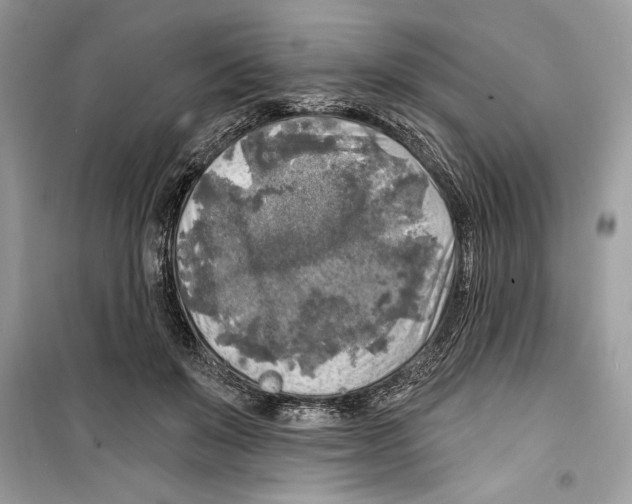 X0000098170503200805221518