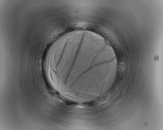 X0000098170504200805221518