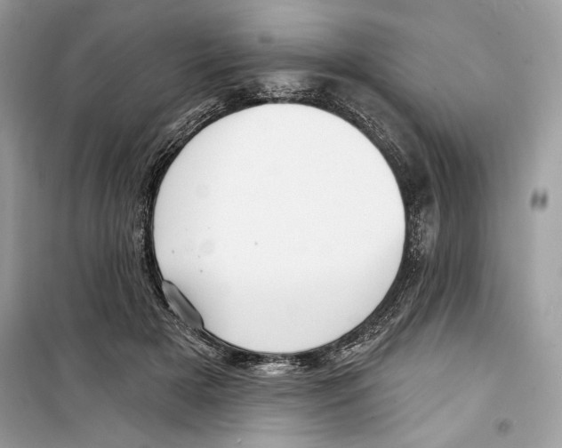 X0000098170505200805221518