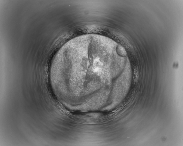 X0000098170506200805221518