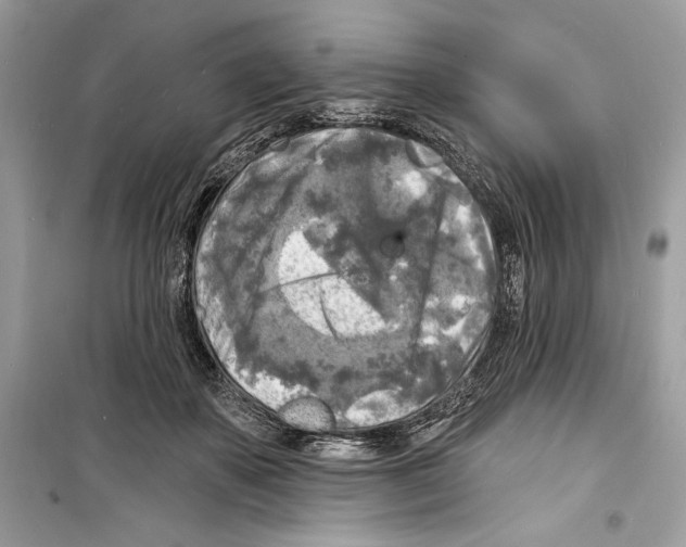 X0000098170507200805221518