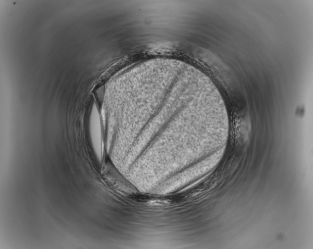 X0000098170508200805221518