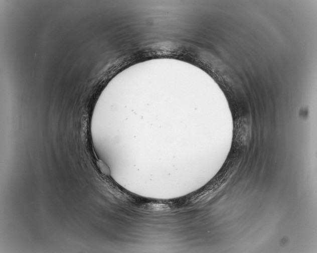 X0000098170509200805221518