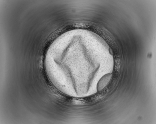 X0000098170510200805221518