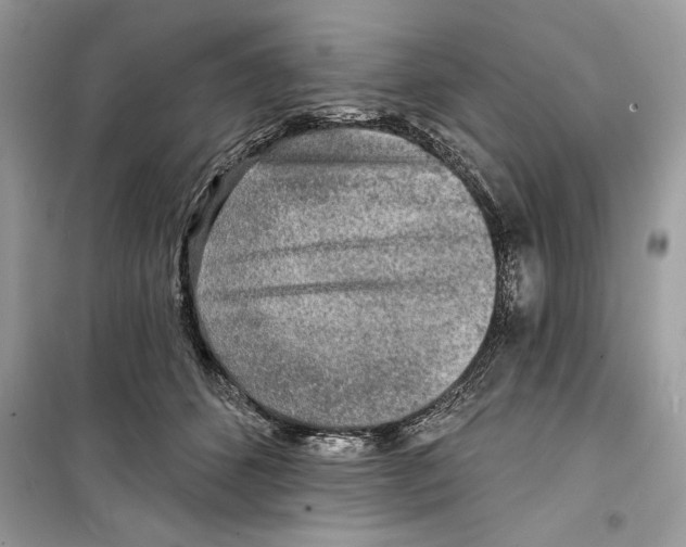 X0000098170512200805221518