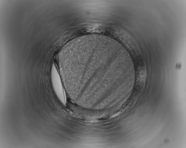 X0000098170513200805221518