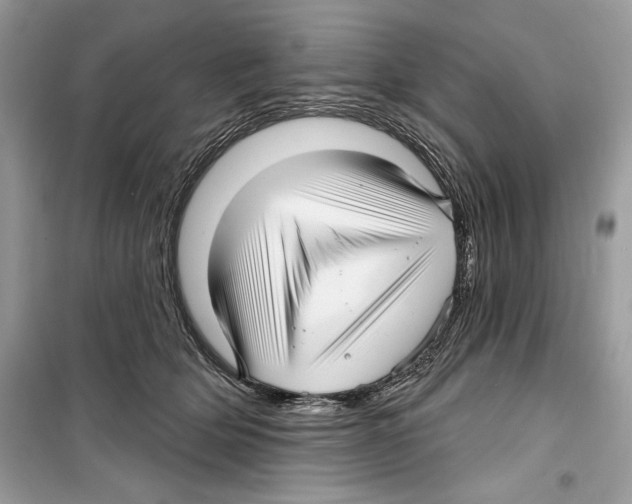 X0000098170514200805221518