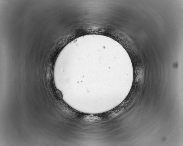 X0000098170515200805221518